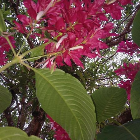 San Marcos  Casa Finca El Rosario מראה חיצוני תמונה