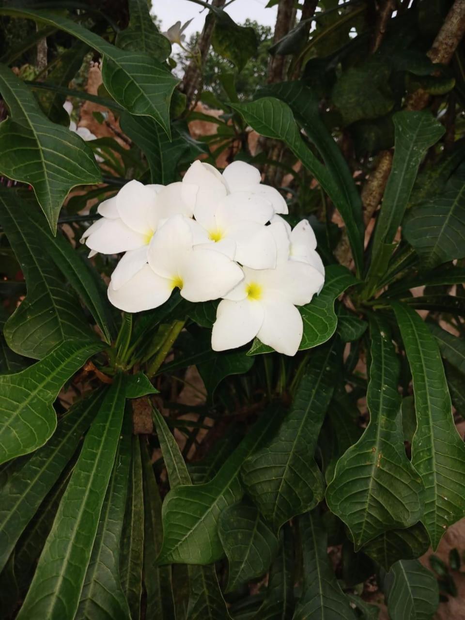 San Marcos  Casa Finca El Rosario מראה חיצוני תמונה