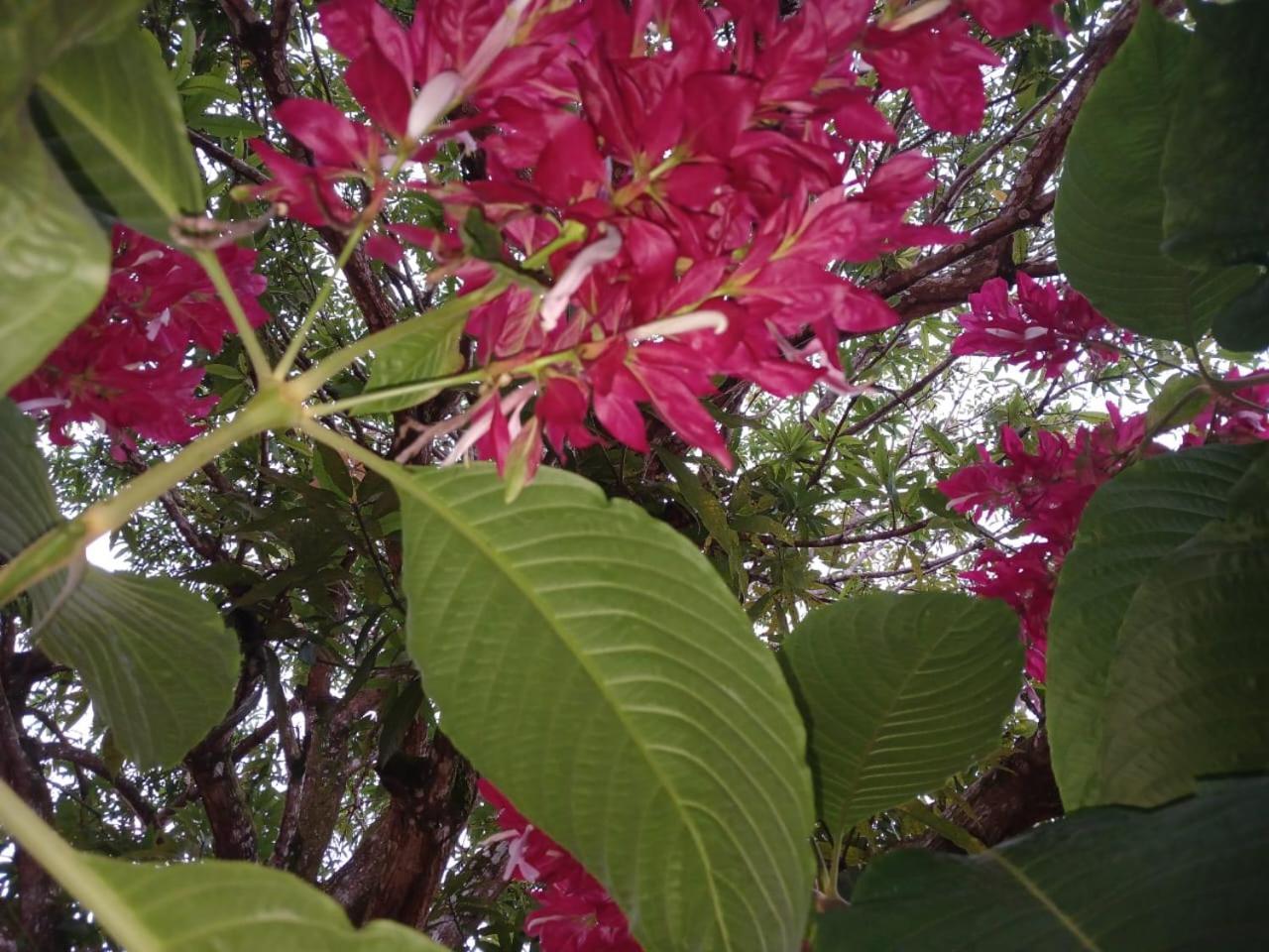 San Marcos  Casa Finca El Rosario מראה חיצוני תמונה